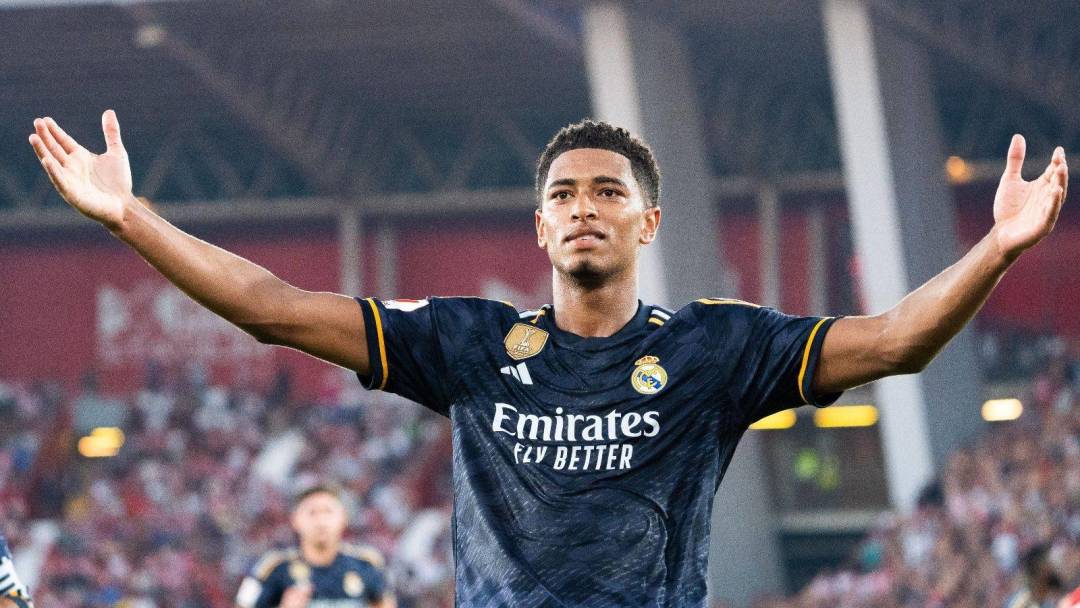 像拉菲尼亚 像拉菲尼亚