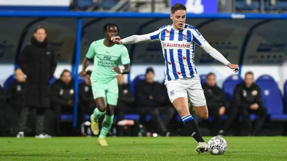 10数据的 10数据的